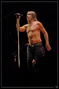 P7291335(2)-Nx Iggy Pop 29-07-2016 Zz (p)
